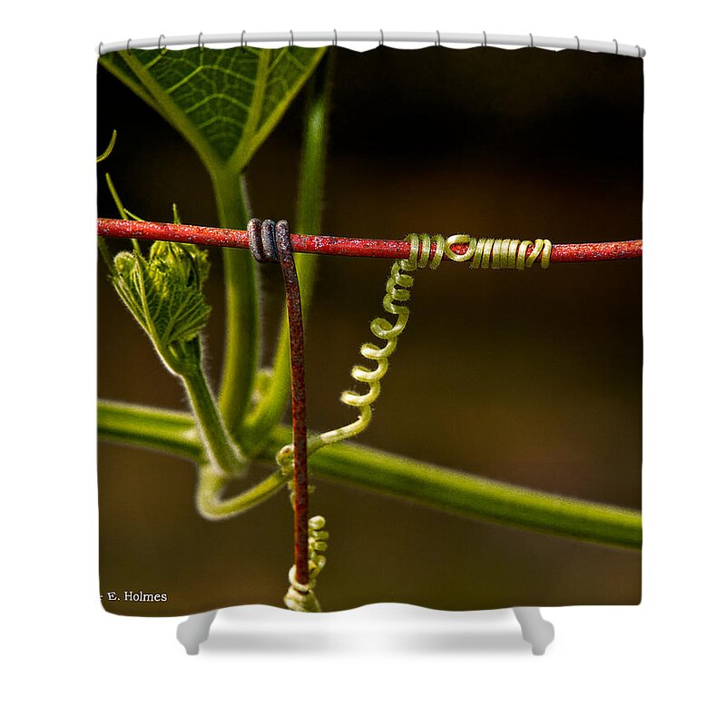 Wire Shower Curtain featuring the photograph Mimic by Christopher Holmes