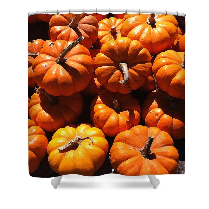Fall Shower Curtain featuring the photograph Mini Fall Pumpkins by Denyse Duhaime