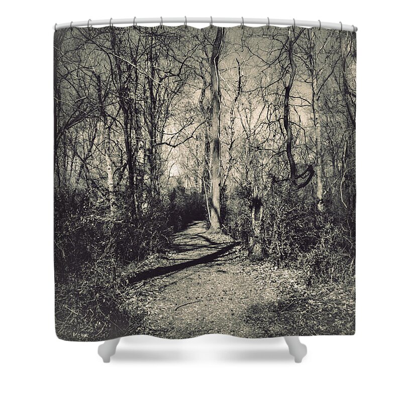 Mirkwood Shower Curtain featuring the photograph Mirkwood by Jessica Brawley