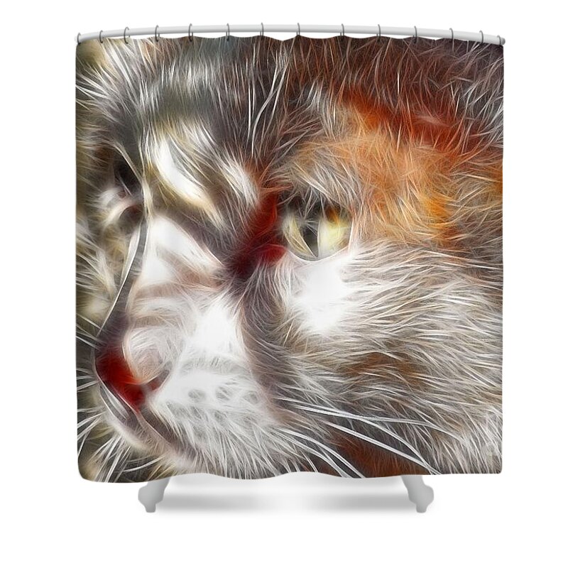 Cats Shower Curtain featuring the photograph Miss Kitty by Kathy Baccari