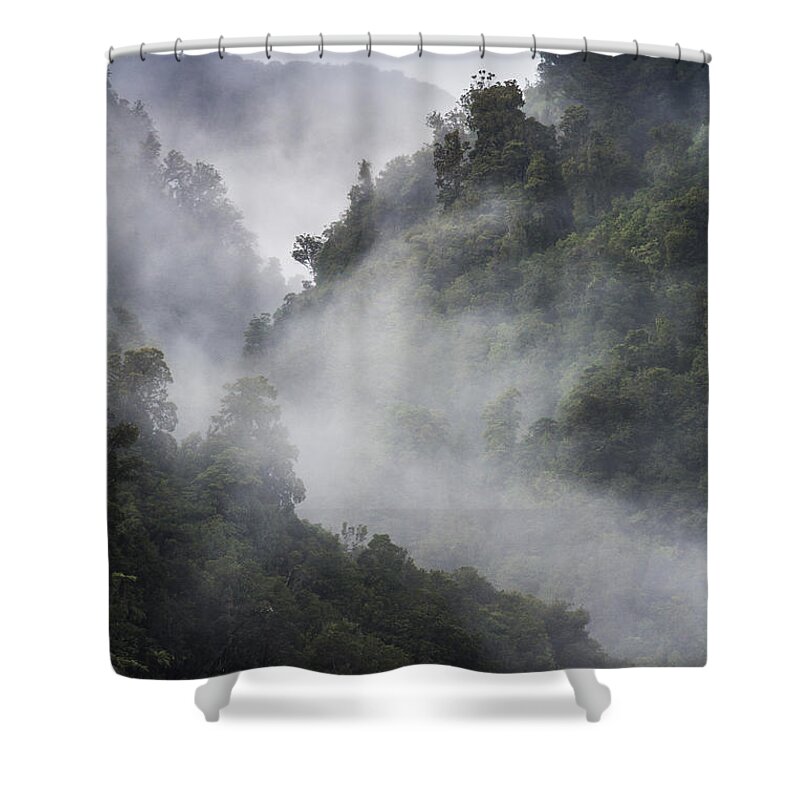 Misty Shower Curtain featuring the photograph Mist in trees at Franz Josef glacier by Sheila Smart Fine Art Photography