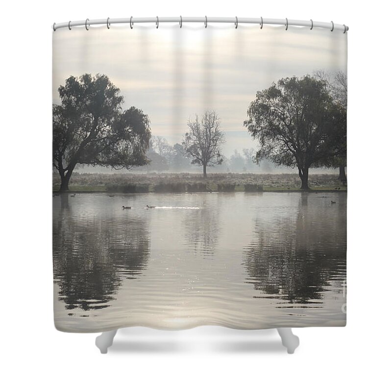 Reflection Calm Waters Of The Heron Pond On A Misty And Frosty Morning Reflected Trees Water Shower Curtain featuring the photograph Misty morning #1 by Julia Gavin