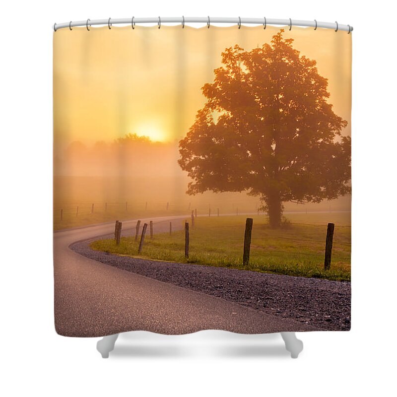 Tree Shower Curtain featuring the photograph Misty Morning Sunrise by Keith Allen