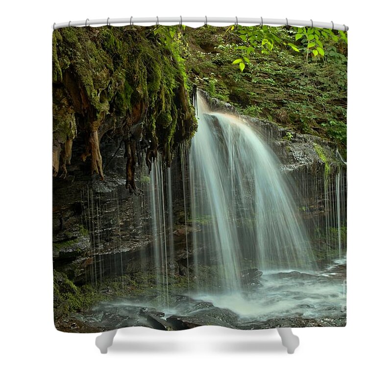 Mohawk Falls Shower Curtain featuring the photograph Mohawk Streams And Roots by Adam Jewell