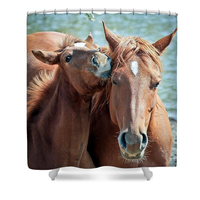 Horses Shower Curtain featuring the photograph Mommy and Me by Athena Mckinzie