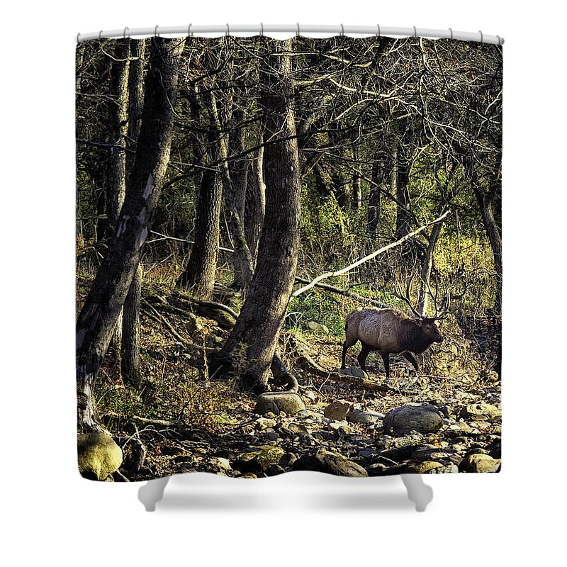 Bull Elk Shower Curtain featuring the photograph Monarch Crossing the Buffalo by Michael Dougherty