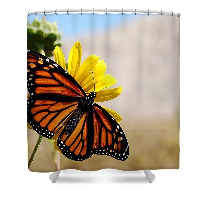 Dakota Shower Curtain featuring the photograph Monarch of the Badlands by Greni Graph