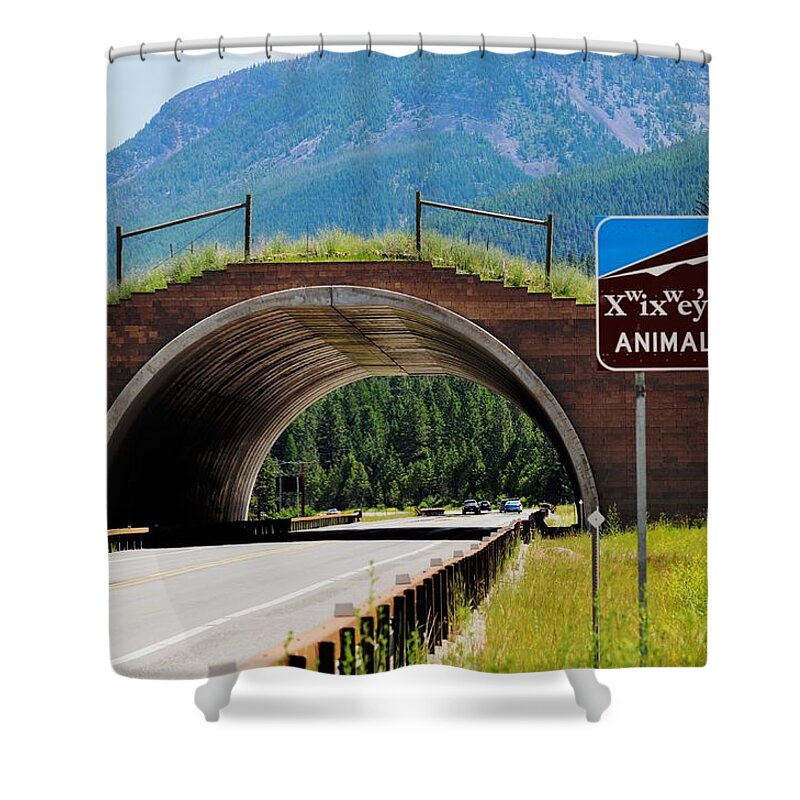 Landscape Shower Curtain featuring the photograph Montana Highway - #2 Animals' Bridge by Kae Cheatham