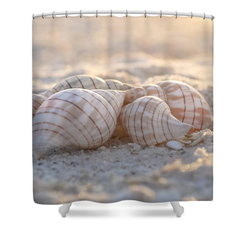 Seashore Shower Curtain featuring the photograph Mood to Moment by Melanie Moraga