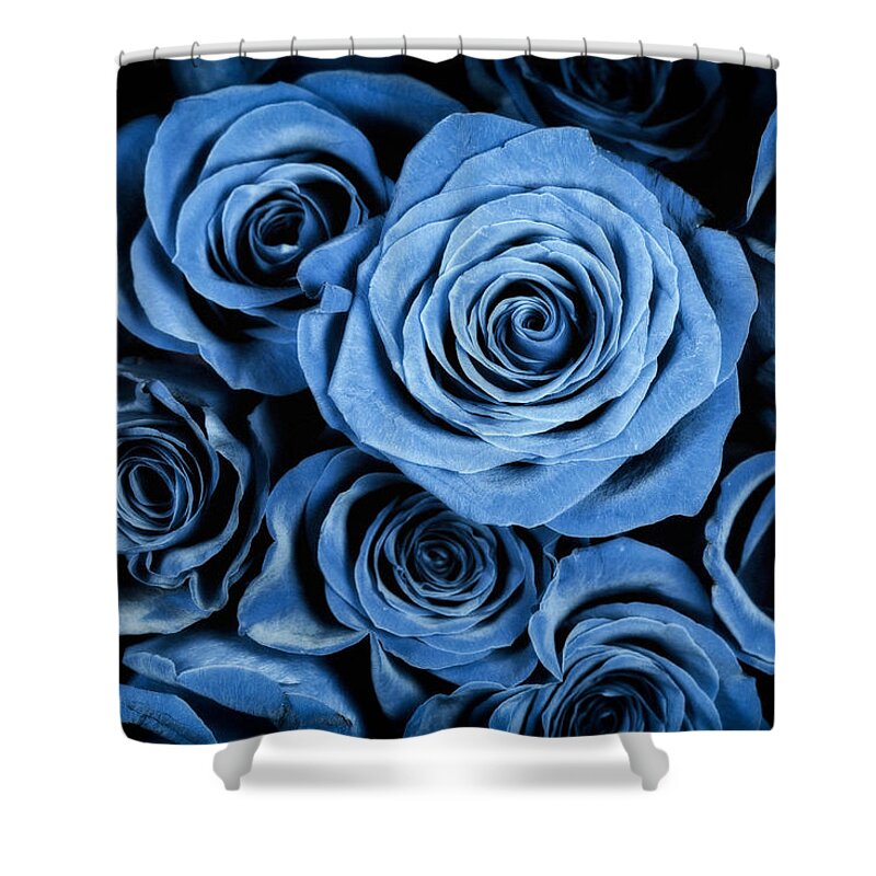 3scape Shower Curtain featuring the photograph Moody Blue Rose Bouquet by Adam Romanowicz