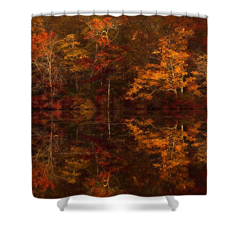 Moonlight Shower Curtain featuring the photograph Moonlight Autumn by Jonathan Steele