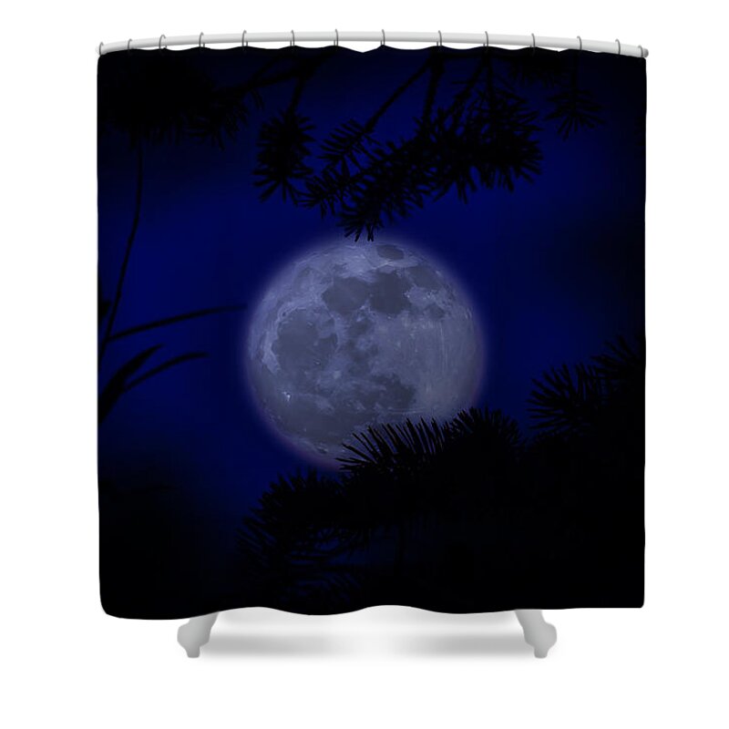 Silhouette Shower Curtain featuring the photograph Moonlit Silhouettes by Rick Bartrand