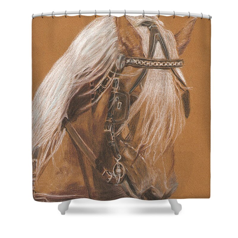 Sandra Muirhead Artist Horses Animals Portraits Working Horses Horse And Carriage Shows Shower Curtain featuring the pastel More From Fer A Cheval by Sandra Muirhead