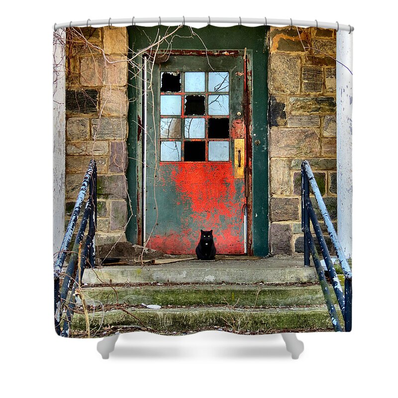 Haunt Shower Curtain featuring the photograph More Than Spirits by Art Dingo