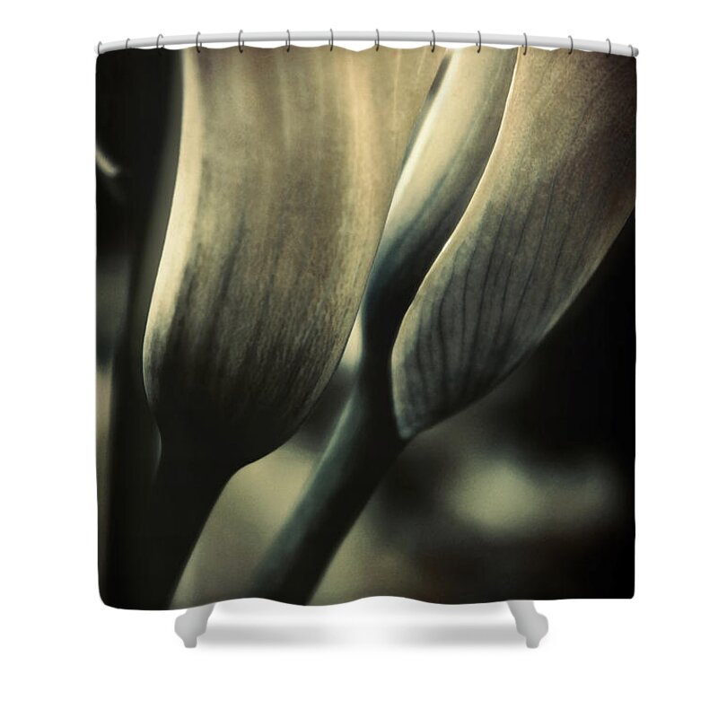 Floral Shower Curtain featuring the photograph Morning Commute by Darlene Kwiatkowski