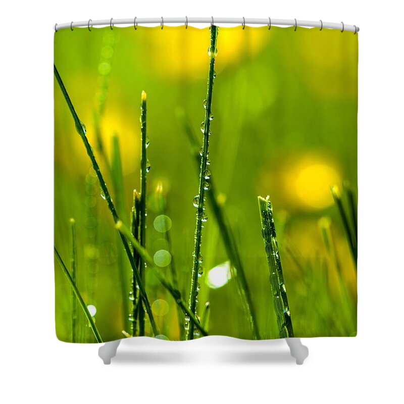 Macro Shower Curtain featuring the photograph Morning Dew by Bruce Pritchett