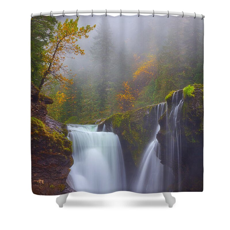 Fog Shower Curtain featuring the photograph Morning Fog by Darren White