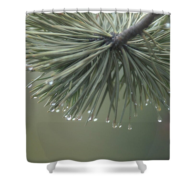 Fog Shower Curtain featuring the photograph Morning Fog by Frank Madia