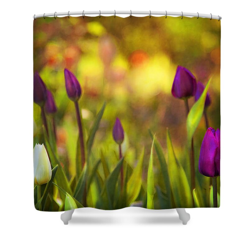 Floral Shower Curtain featuring the photograph Morning Has Broken by Theresa Tahara