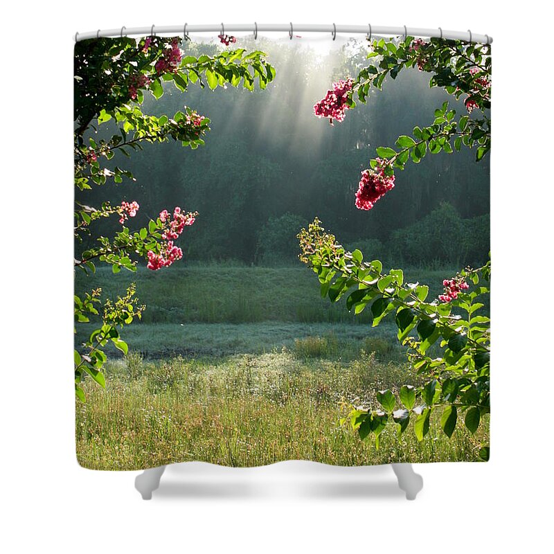 Crape Myrtle Shower Curtain featuring the photograph Morning Marsh by Carol Groenen