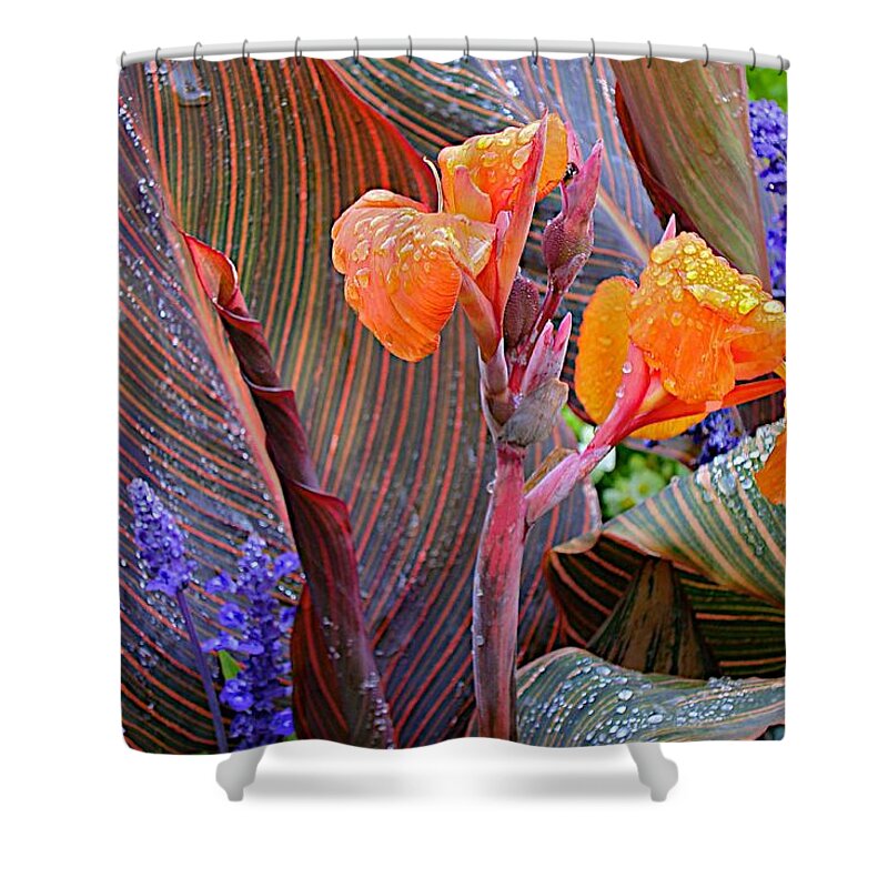 Cana Flowers Shower Curtain featuring the photograph Morning Rain by Joseph Yarbrough