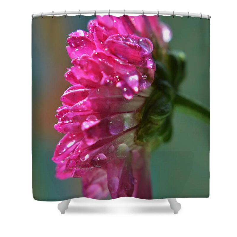 Michelle Meenawong Shower Curtain featuring the photograph Morning Shower by Michelle Meenawong