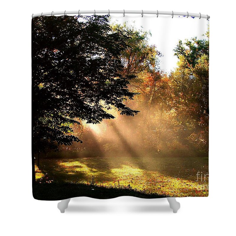 Autumn Shower Curtain featuring the photograph Morning Sunshine by Linda Cox