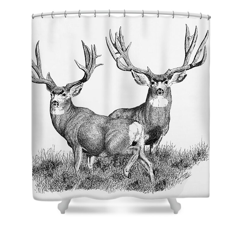 Large Mule Deer Bucks Shower Curtain featuring the painting Morty and Popeye by Darcy Tate