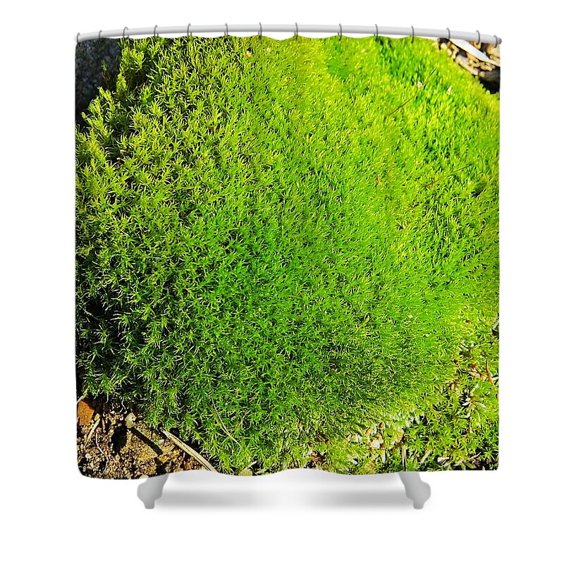 Moss Shower Curtain featuring the photograph Moss by MTBobbins Photography