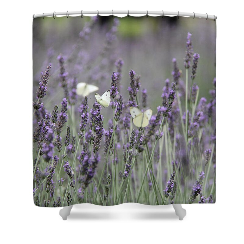 Lavender Shower Curtain featuring the photograph Moth by Adrienne Franklin