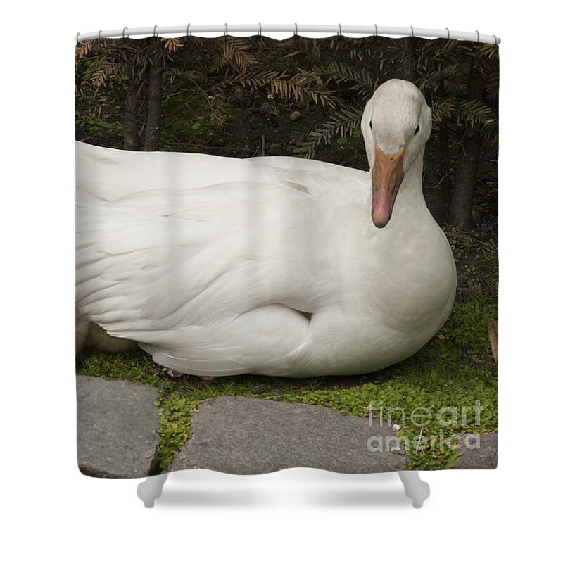 Mother Love Shower Curtain featuring the photograph Mother Love by Victoria Harrington