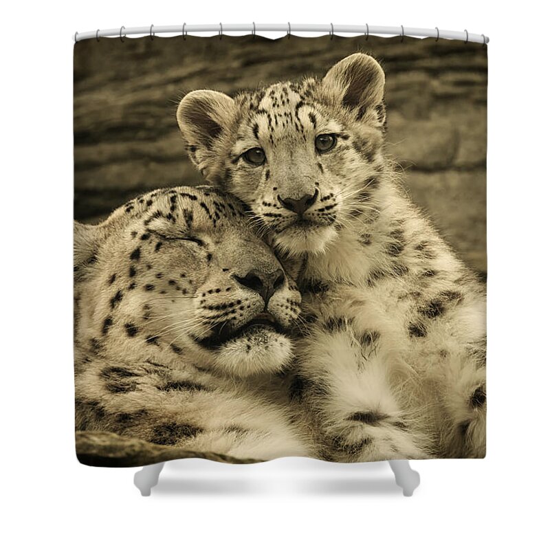 Marwell Shower Curtain featuring the photograph Mother's Love by Chris Boulton