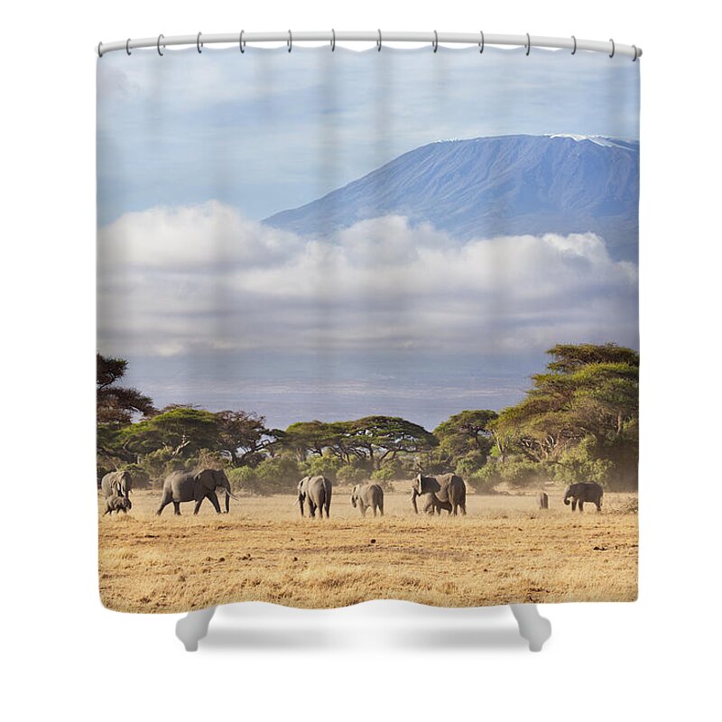 Nis Shower Curtain featuring the photograph Mount Kilimanjaro Amboseli by Richard Garvey-Williams