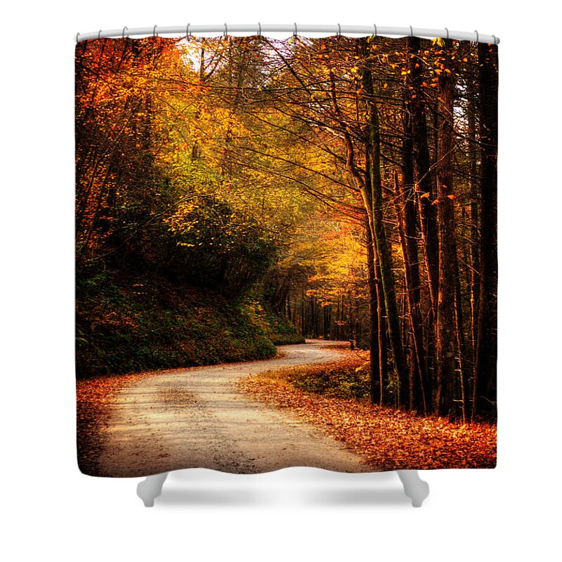 Dirt Road Shower Curtain featuring the photograph Mountain Back Road in Fall by Greg and Chrystal Mimbs
