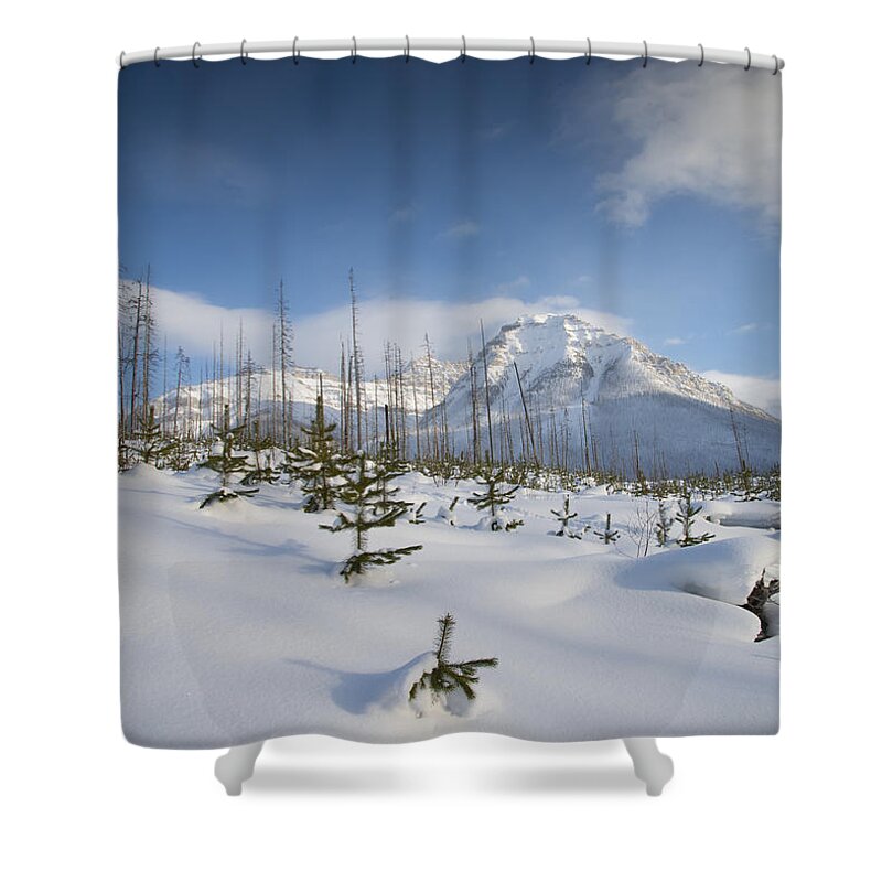 Winter Shower Curtain featuring the photograph Mountain Fresh by Bill Cubitt