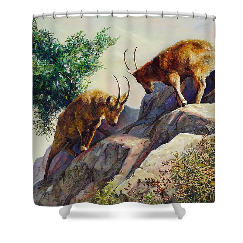Goat Shower Curtain featuring the painting Mountain Goats - Powerful Fight by Svitozar Nenyuk