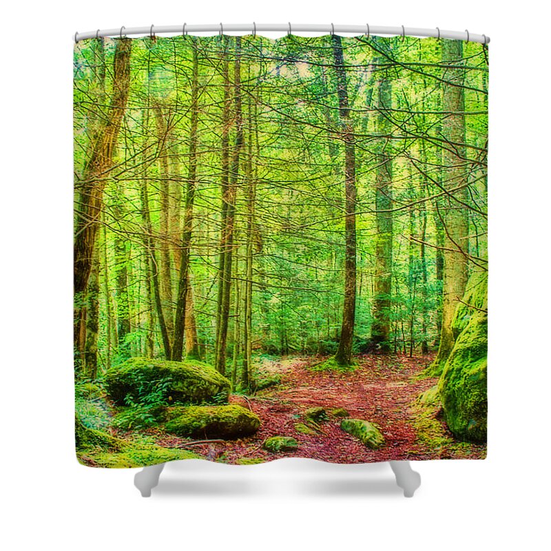 Mountain Green Shower Curtain featuring the photograph Mountain - Trail - Landscape - Mountain Green by Barry Jones