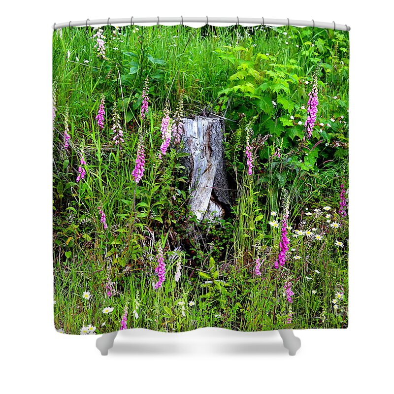 Mountain Wildflowers Shower Curtain featuring the photograph Mountain Wildflowers by Carol Groenen