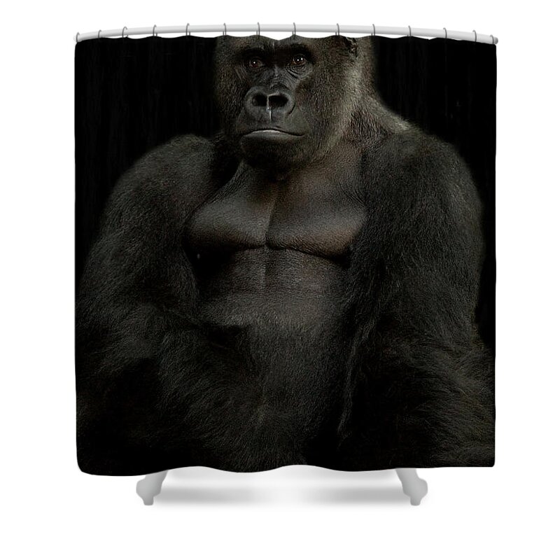 Gorilla Shower Curtain featuring the photograph Mr. BIG by Christine Sponchia