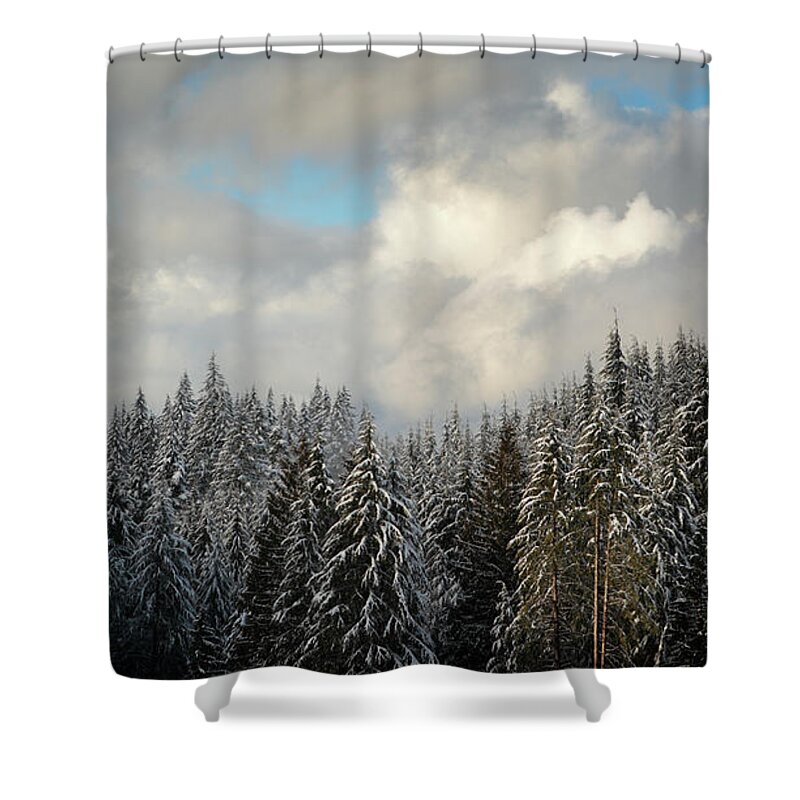 Scenics Shower Curtain featuring the photograph Mt Hood Forest Oregon by Davealan