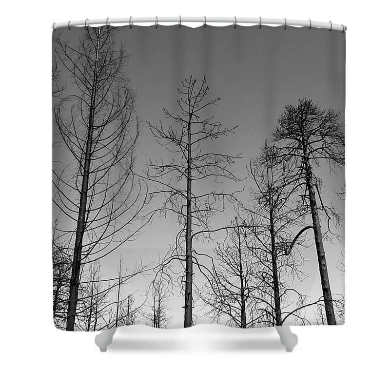 B&w Shower Curtain featuring the photograph Mt Lemmon Fire 12 by JustJeffAz Photography