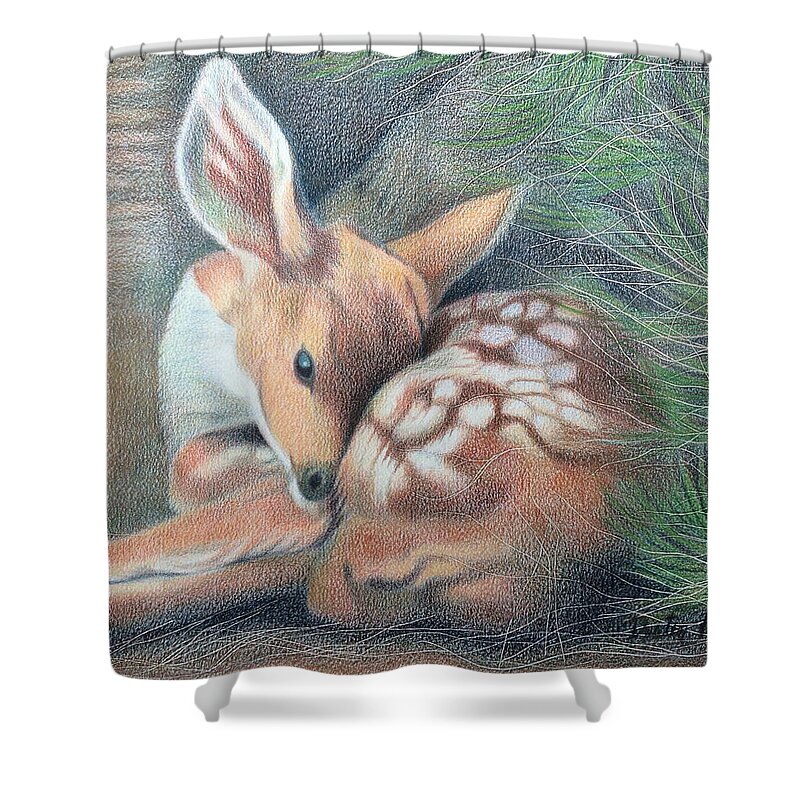 Art Shower Curtain featuring the drawing Mule Deer Fawn by Dustin Miller