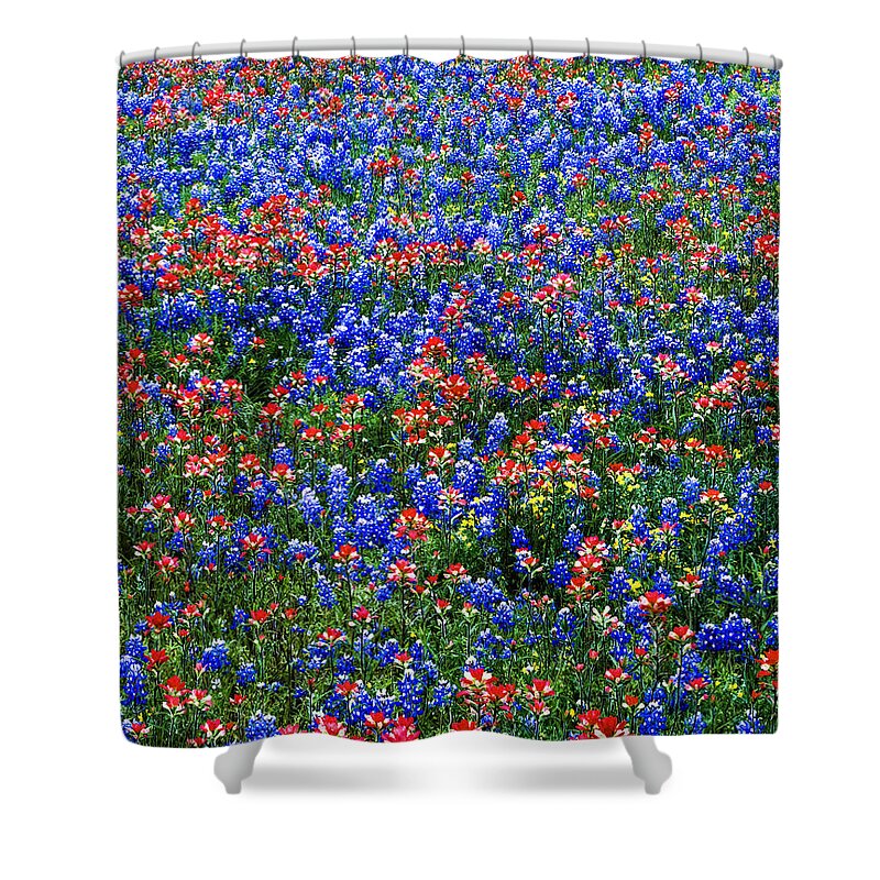 Scenics Shower Curtain featuring the photograph Multicololored Wildflowers, Red Indian by Dszc