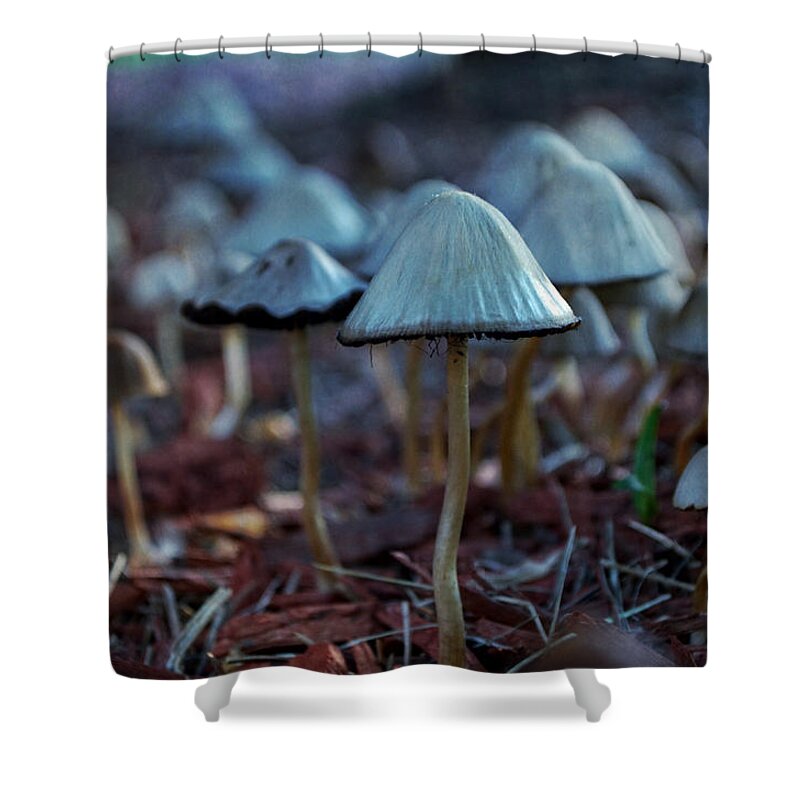 Mushroom Shower Curtain featuring the photograph Mushroom Forest by Mary Machare