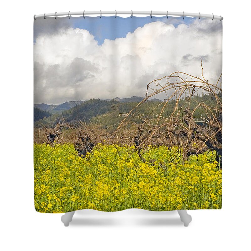 Mustard Field Shower Curtain featuring the photograph Mustard Field by Mick Burkey