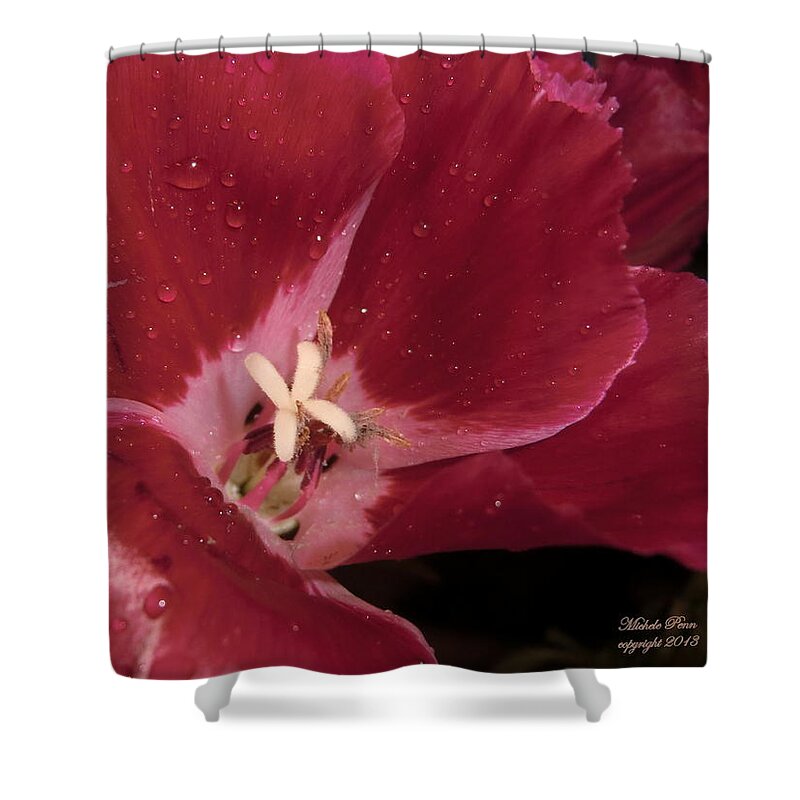 Red Shower Curtain featuring the photograph My Beauty by Michele Penn