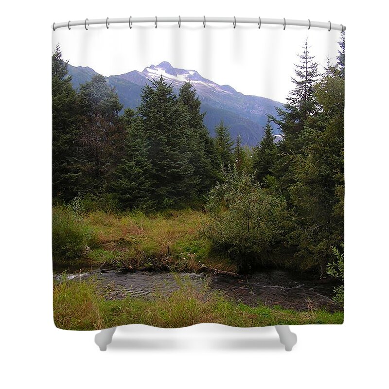 Landscape Shower Curtain featuring the photograph My favorite bear watching spot by Annika Farmer