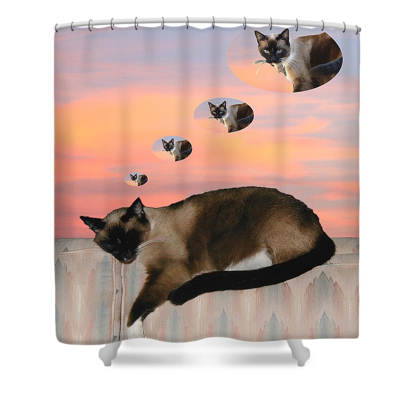 Siamese Cat Shower Curtain featuring the photograph My Favorite Dream - Mouse Hunt by Her Arts Desire