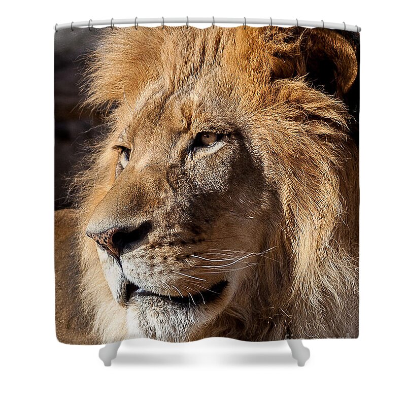 Nature Shower Curtain featuring the photograph My Good Side by Steven Reed