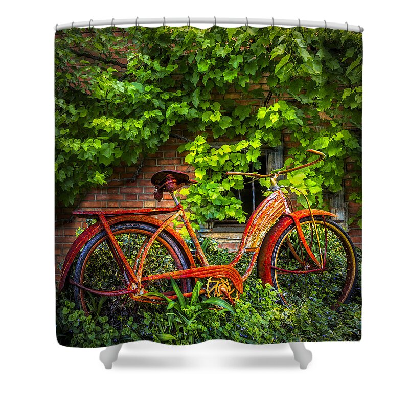 1950 Shower Curtain featuring the photograph My Old Bicycle by Debra and Dave Vanderlaan